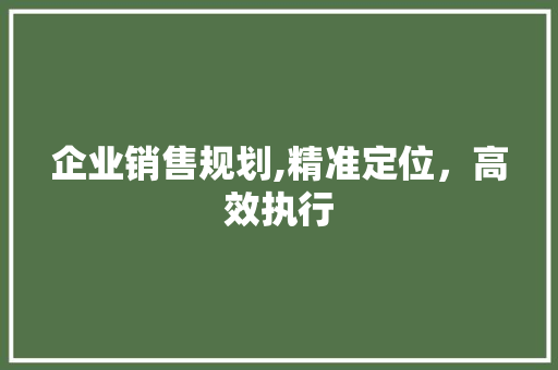 企业销售规划,精准定位，高效执行