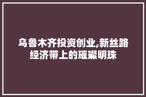 乌鲁木齐投资创业,新丝路经济带上的璀璨明珠