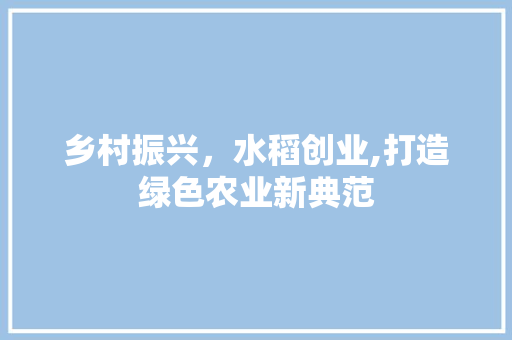 乡村振兴，水稻创业,打造绿色农业新典范