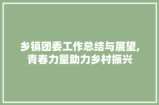 乡镇团委工作总结与展望,青春力量助力乡村振兴