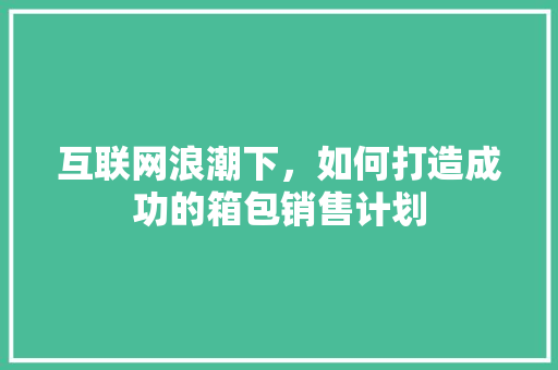 互联网浪潮下，如何打造成功的箱包销售计划