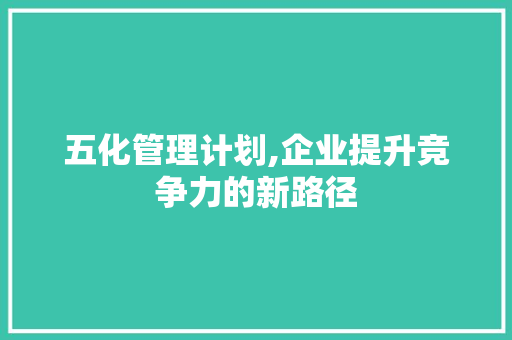 五化管理计划,企业提升竞争力的新路径