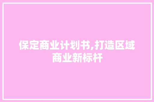 保定商业计划书,打造区域商业新标杆