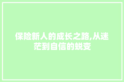 保险新人的成长之路,从迷茫到自信的蜕变