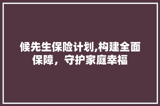 候先生保险计划,构建全面保障，守护家庭幸福