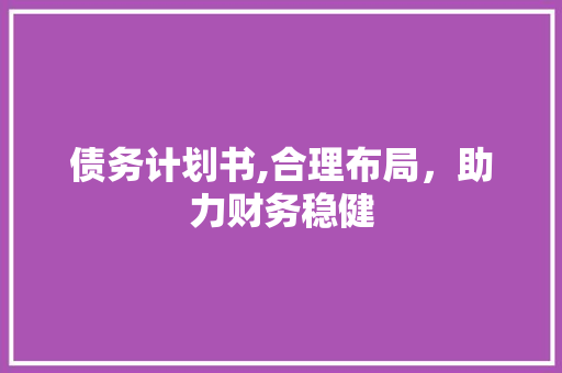 债务计划书,合理布局，助力财务稳健