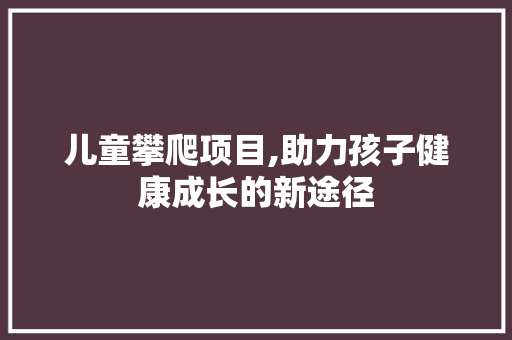 儿童攀爬项目,助力孩子健康成长的新途径