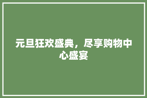 元旦狂欢盛典，尽享购物中心盛宴