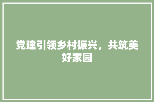 党建引领乡村振兴，共筑美好家园