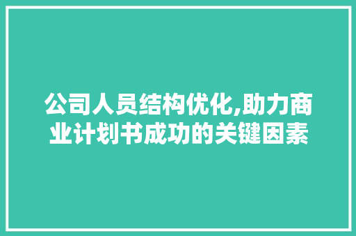 公司人员结构优化,助力商业计划书成功的关键因素