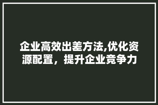 企业高效出差方法,优化资源配置，提升企业竞争力