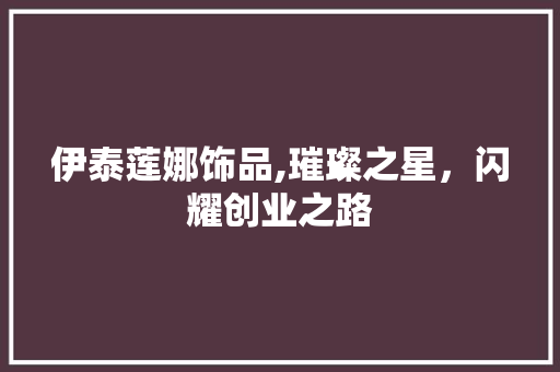 伊泰莲娜饰品,璀璨之星，闪耀创业之路