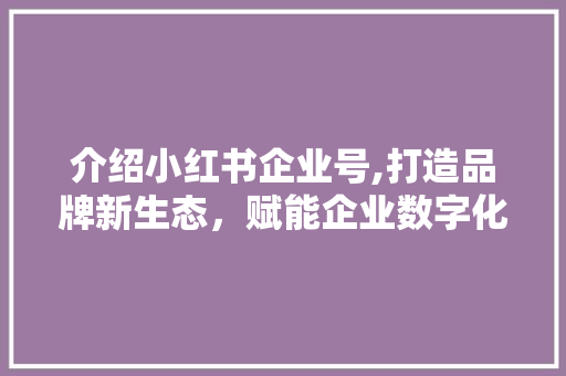 介绍小红书企业号,打造品牌新生态，赋能企业数字化转型