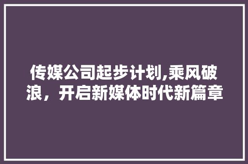 传媒公司起步计划,乘风破浪，开启新媒体时代新篇章