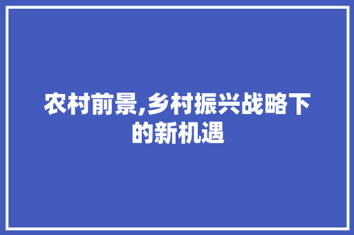 农村前景,乡村振兴战略下的新机遇