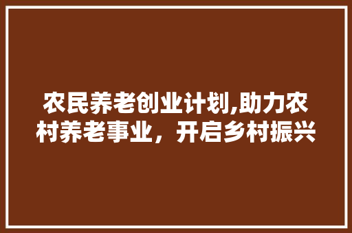 农民养老创业计划,助力农村养老事业，开启乡村振兴新篇章