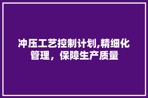 冲压工艺控制计划,精细化管理，保障生产质量