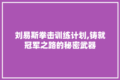 刘易斯拳击训练计划,铸就冠军之路的秘密武器
