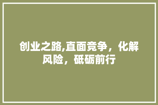 创业之路,直面竞争，化解风险，砥砺前行