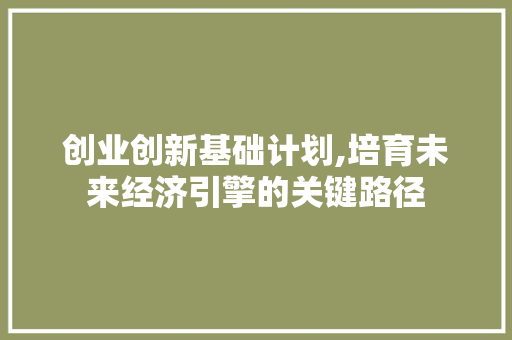 创业创新基础计划,培育未来经济引擎的关键路径