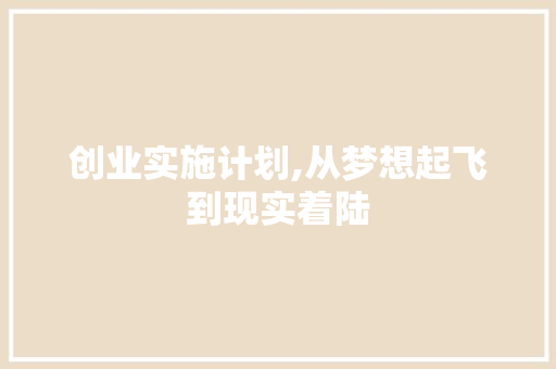 创业实施计划,从梦想起飞到现实着陆
