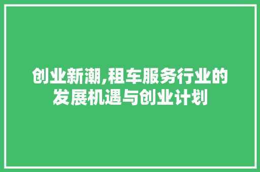 创业新潮,租车服务行业的发展机遇与创业计划