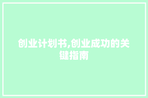 创业计划书,创业成功的关键指南
