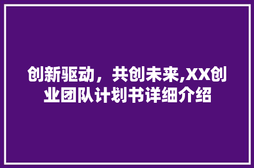 创新驱动，共创未来,XX创业团队计划书详细介绍