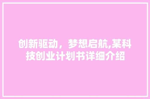 创新驱动，梦想启航,某科技创业计划书详细介绍
