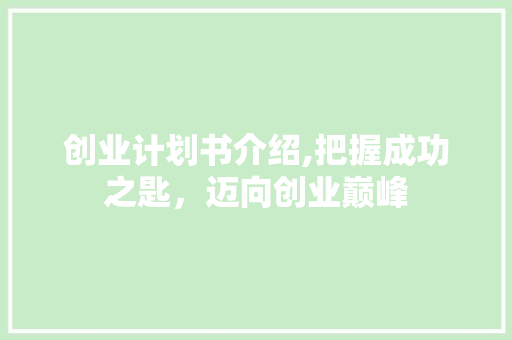 创业计划书介绍,把握成功之匙，迈向创业巅峰