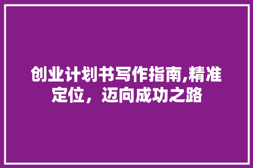 创业计划书写作指南,精准定位，迈向成功之路 短语