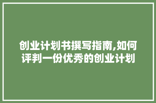 创业计划书撰写指南,如何评判一份优秀的创业计划