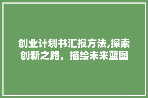 创业计划书汇报方法,探索创新之路，描绘未来蓝图