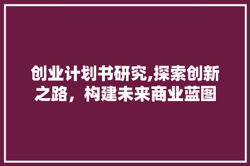创业计划书研究,探索创新之路，构建未来商业蓝图