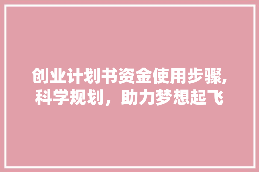 创业计划书资金使用步骤,科学规划，助力梦想起飞