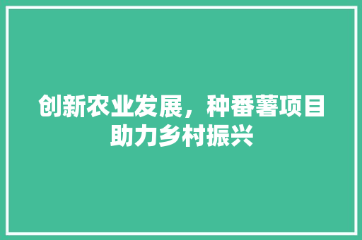 创新农业发展，种番薯项目助力乡村振兴