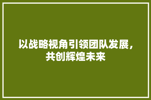 以战略视角引领团队发展，共创辉煌未来