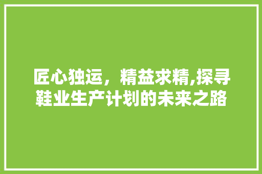 匠心独运，精益求精,探寻鞋业生产计划的未来之路