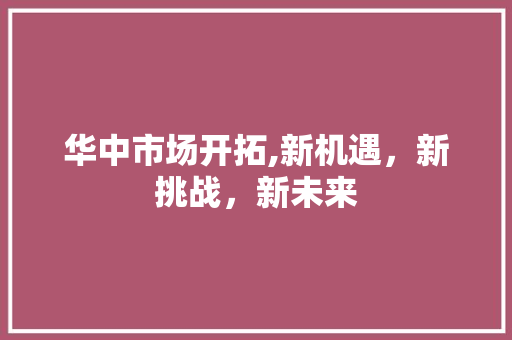 华中市场开拓,新机遇，新挑战，新未来