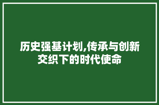 历史强基计划,传承与创新交织下的时代使命