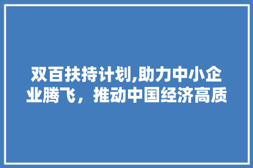 双百扶持计划,助力中小企业腾飞，推动中国经济高质量发展