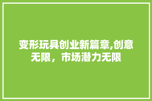 变形玩具创业新篇章,创意无限，市场潜力无限