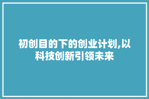 初创目的下的创业计划,以科技创新引领未来