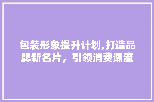 包装形象提升计划,打造品牌新名片，引领消费潮流