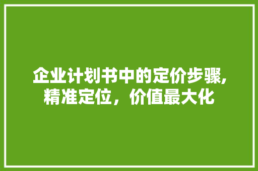 企业计划书中的定价步骤,精准定位，价值最大化