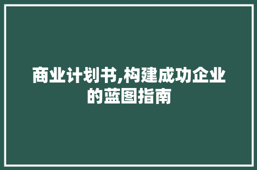 商业计划书,构建成功企业的蓝图指南