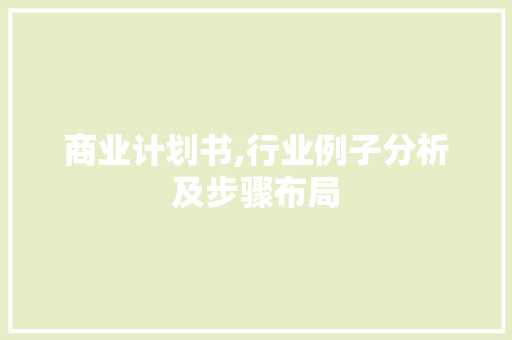 商业计划书,行业例子分析及步骤布局