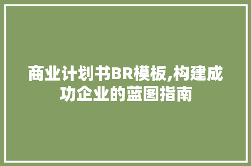 商业计划书BR模板,构建成功企业的蓝图指南