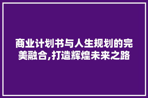 商业计划书与人生规划的完美融合,打造辉煌未来之路