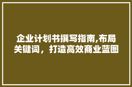 企业计划书撰写指南,布局关键词，打造高效商业蓝图